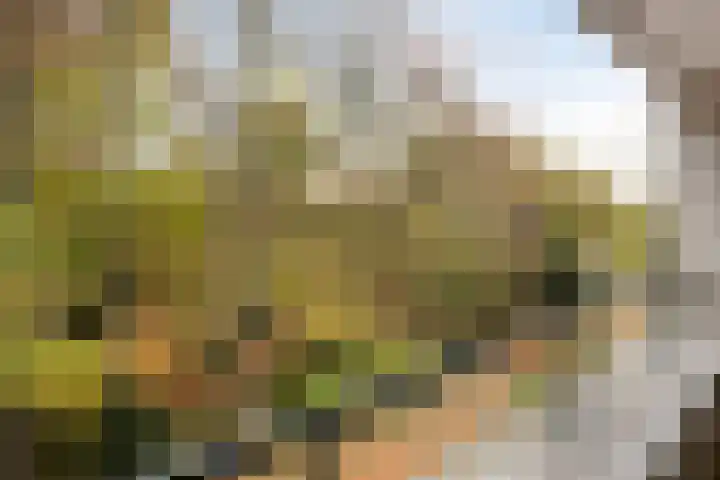 Plantlust 47 Waalwijk thumbnail 4