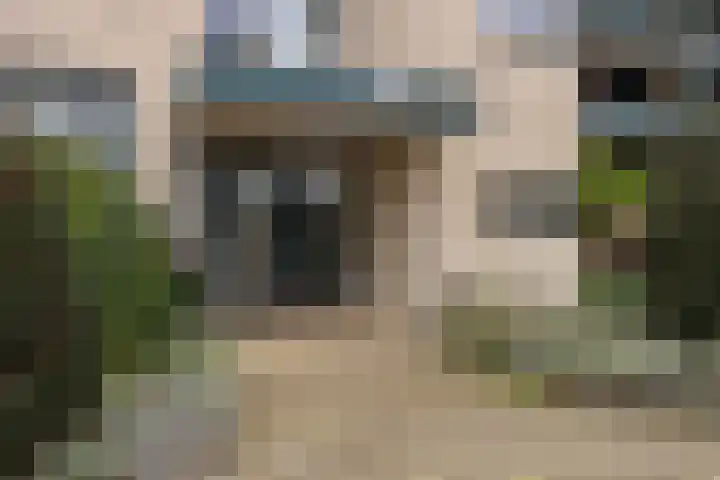 Plantlust 47 Waalwijk thumbnail 5