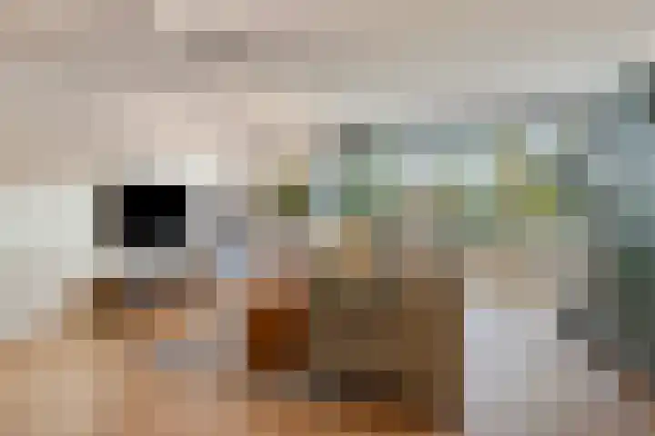 Plantlust 47 Waalwijk thumbnail 8