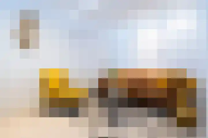 Plantlust 59 Waalwijk thumbnail 31