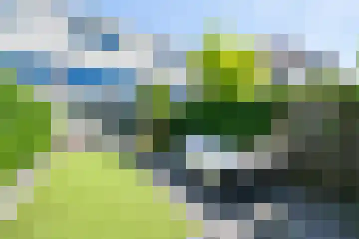Plantlust 59 Waalwijk thumbnail 33