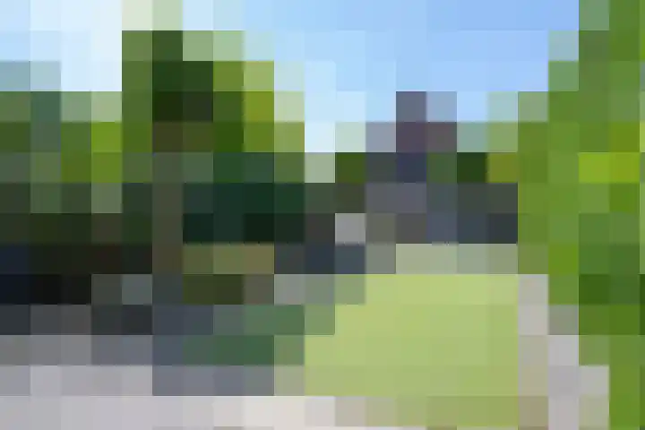 Plantlust 59 Waalwijk thumbnail 34