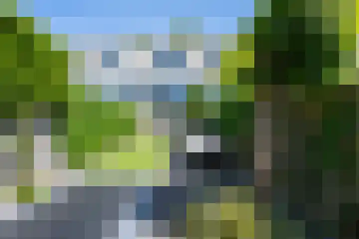 Plantlust 59 Waalwijk thumbnail 36
