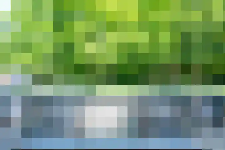 Plantlust 59 Waalwijk thumbnail 37