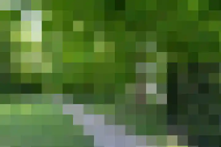 Plantlust 59 Waalwijk thumbnail 38