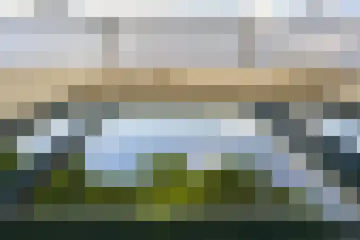 Plantlust 59 Waalwijk thumbnail 39