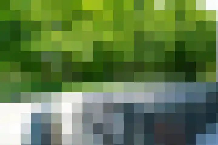 Plantlust 59 Waalwijk thumbnail 4