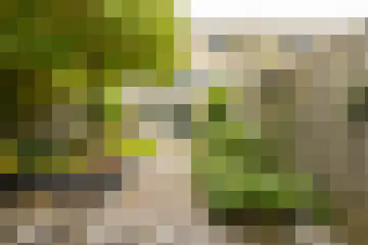 Plantlust 79 Waalwijk thumbnail 32