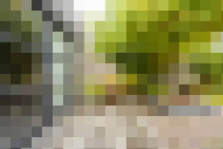 Plantlust 79 Waalwijk thumbnail 34