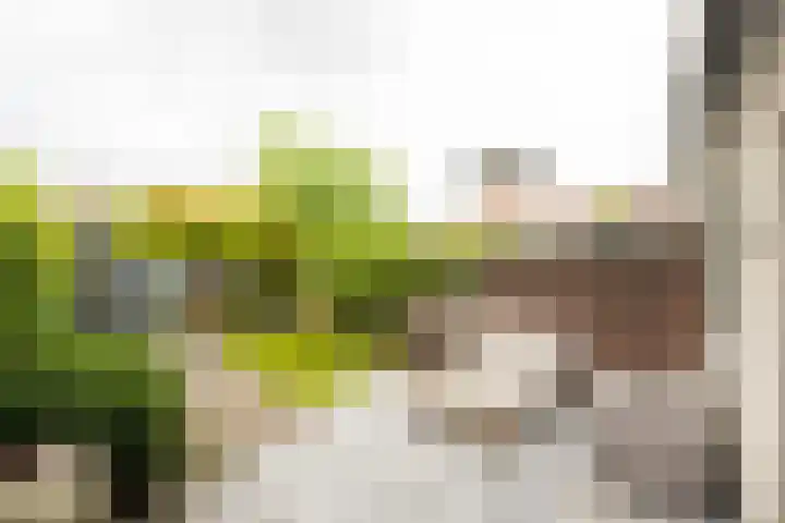Plantlust 79 Waalwijk thumbnail 35