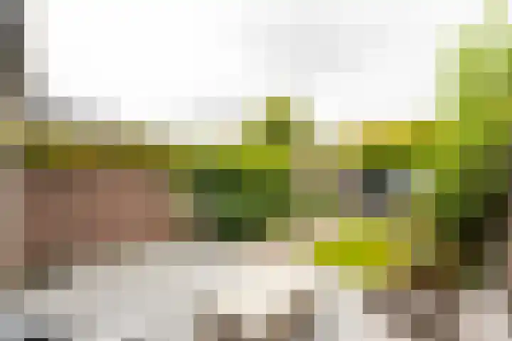 Plantlust 79 Waalwijk thumbnail 36