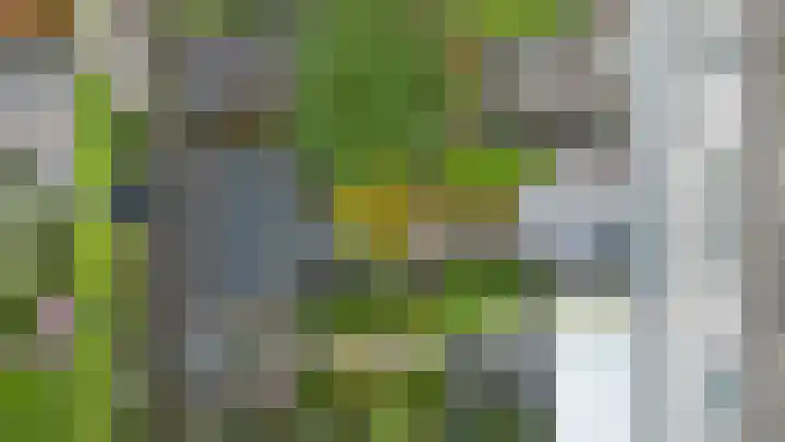 Plantlust 79 Waalwijk thumbnail 37