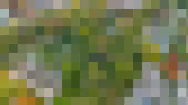 Plantlust 79 Waalwijk thumbnail 38