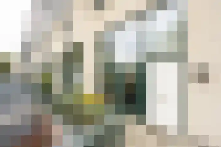 Plantlust 79 Waalwijk thumbnail 6