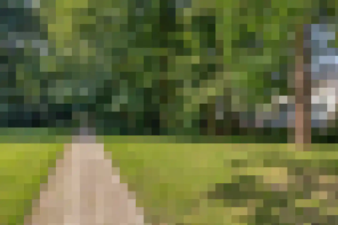 Plantlust 95 Waalwijk thumbnail 31