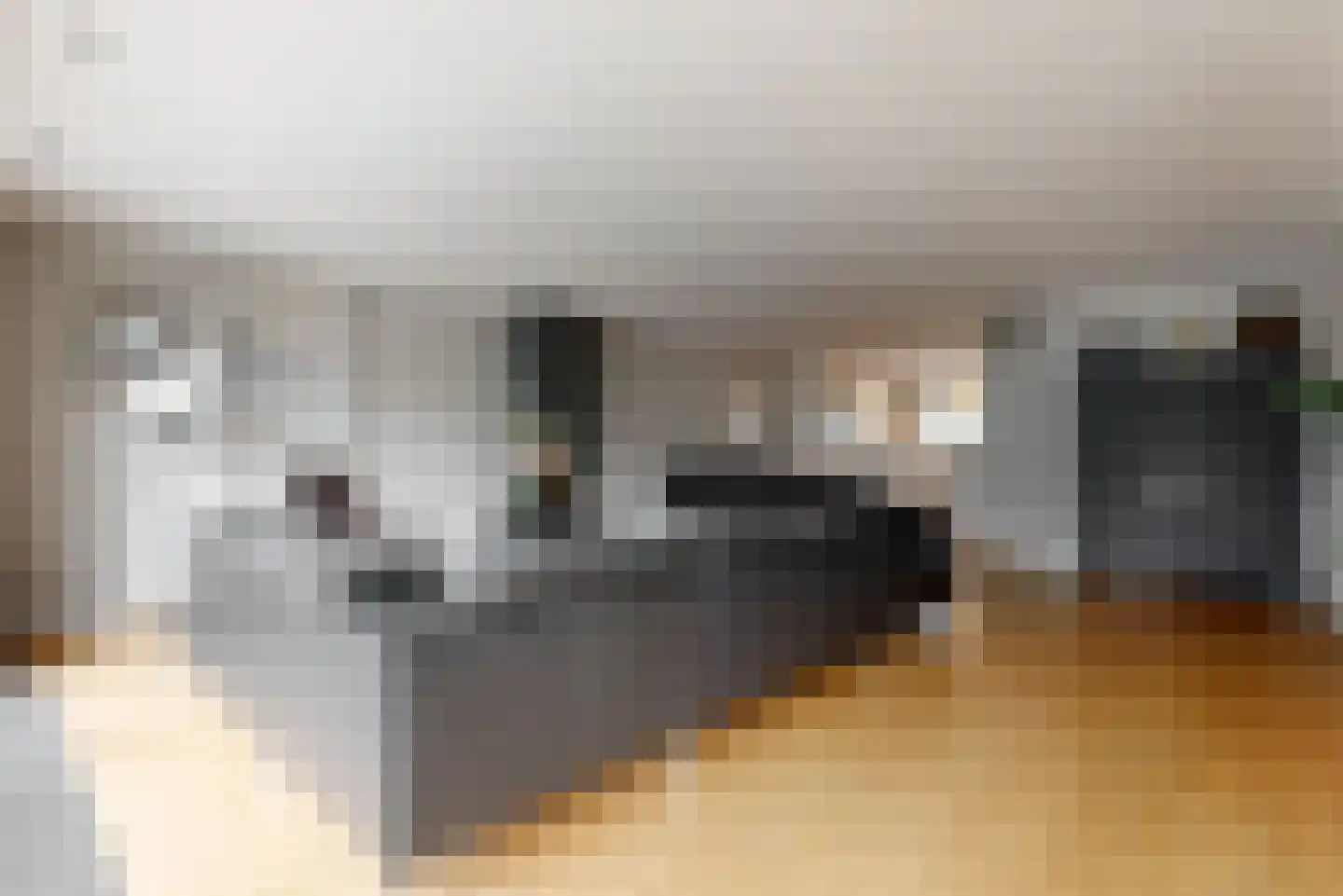 Plantraam 17 Limmen thumbnail 10