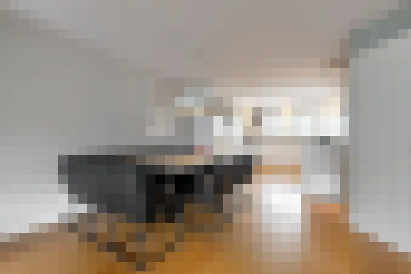 Plantraam 17 Limmen thumbnail 13