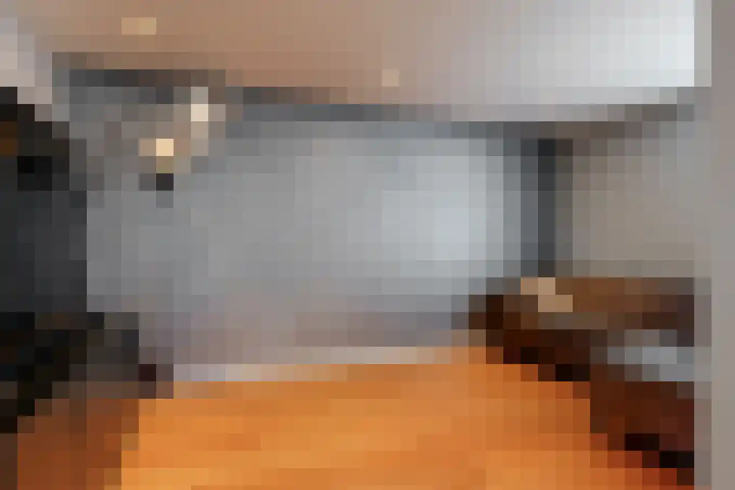 Plantraam 17 Limmen thumbnail 16