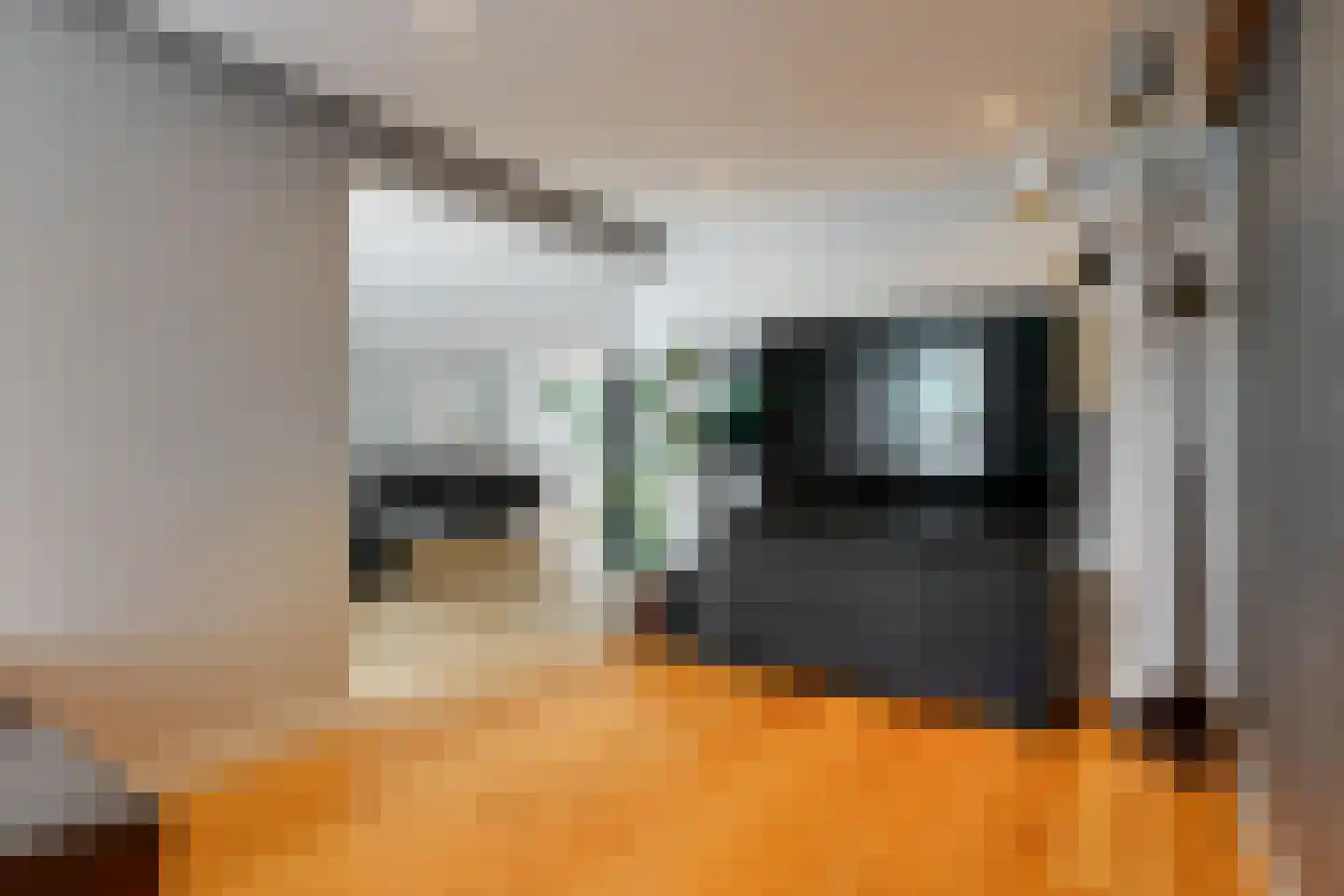 Plantraam 17 Limmen thumbnail 18