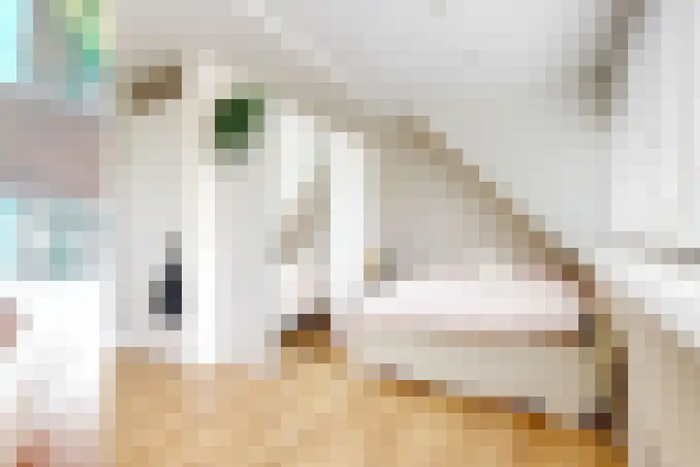 Plantraam 17 Limmen thumbnail 30