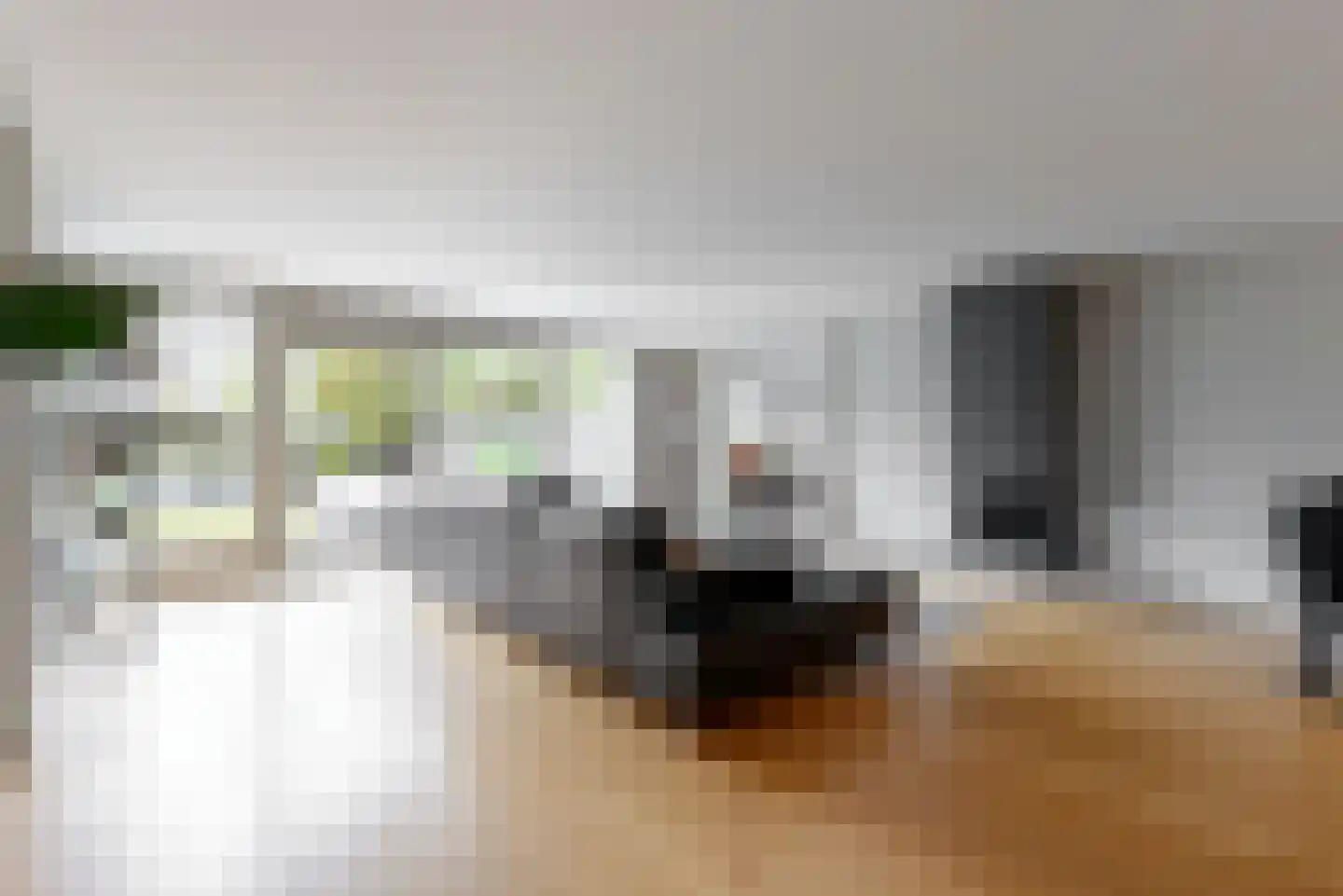 Plantraam 17 Limmen thumbnail 9