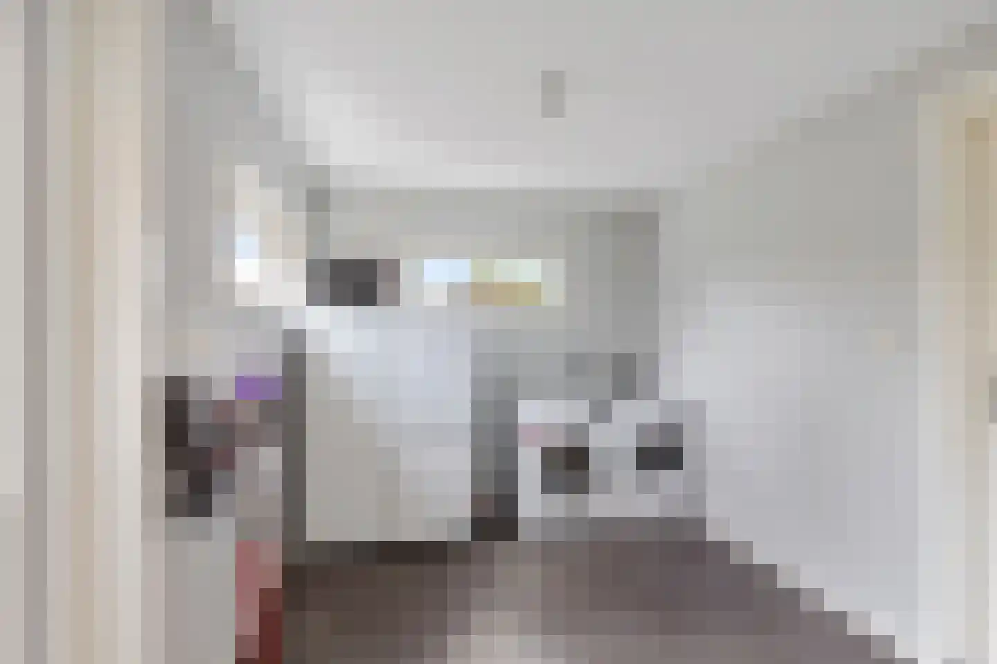 Plantsoen 11 Bakhuizen thumbnail 13
