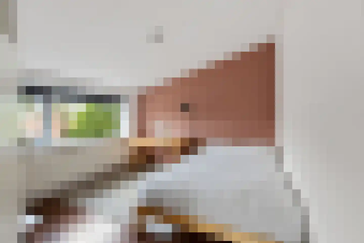 Plantsoen 11 Bakhuizen thumbnail 21