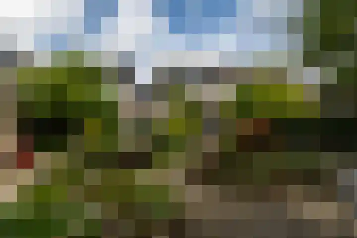 Plantsoen 112 Prinsenbeek thumbnail 23