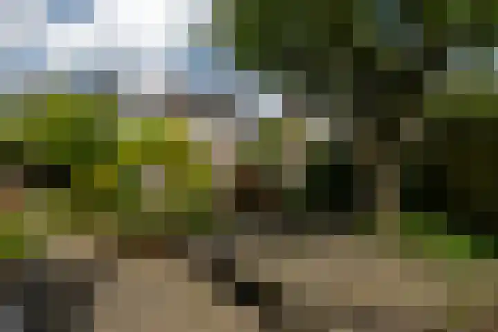 Plantsoen 112 Prinsenbeek thumbnail 24