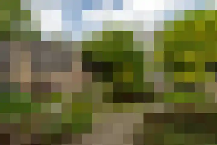 Plantsoen 112 Prinsenbeek thumbnail 25
