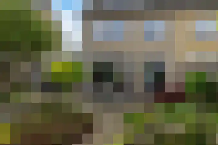 Plantsoen 112 Prinsenbeek thumbnail 29