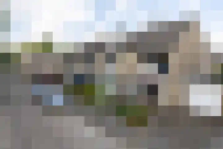 Plantsoen 112 Prinsenbeek thumbnail 35