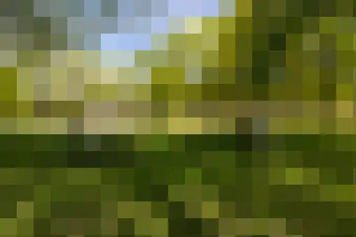 Plantsoen 112 Prinsenbeek thumbnail 37