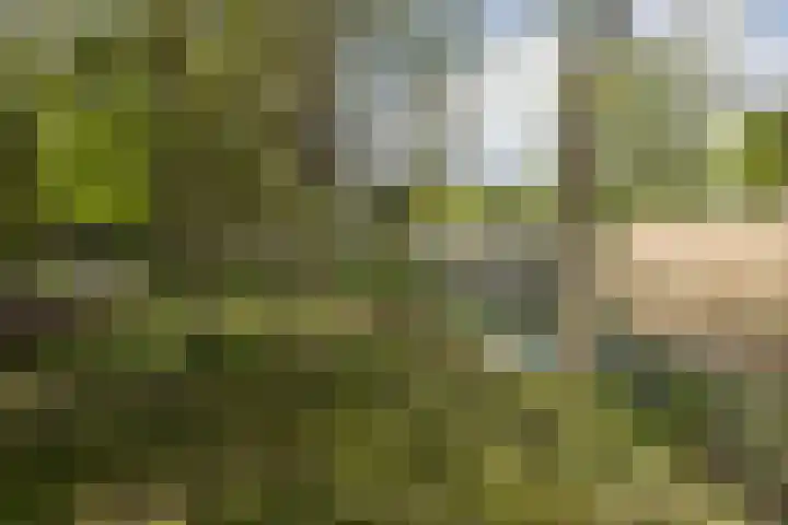 Plantsoen 112 Prinsenbeek thumbnail 39