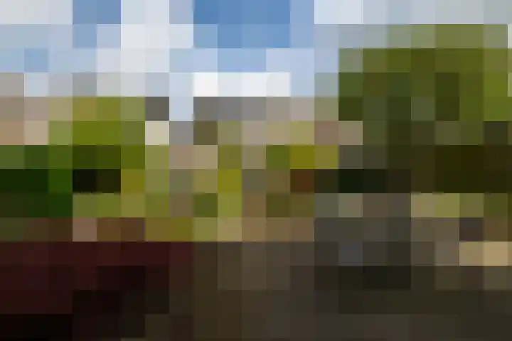 Plantsoen 112 Prinsenbeek thumbnail 4