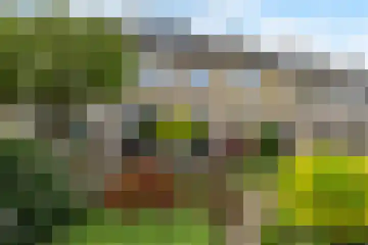 Plantsoen 112 Prinsenbeek thumbnail 5