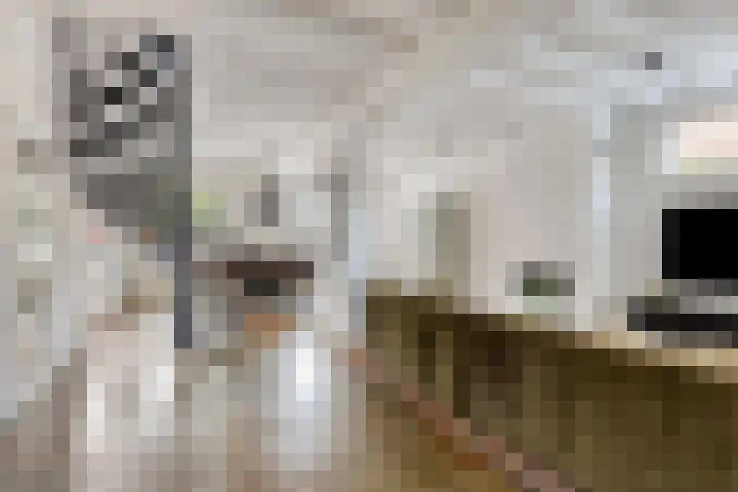 Plantsoen 13 Heesch thumbnail 11