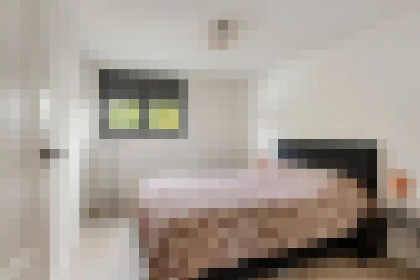 Plantsoen 13 Heesch thumbnail 31