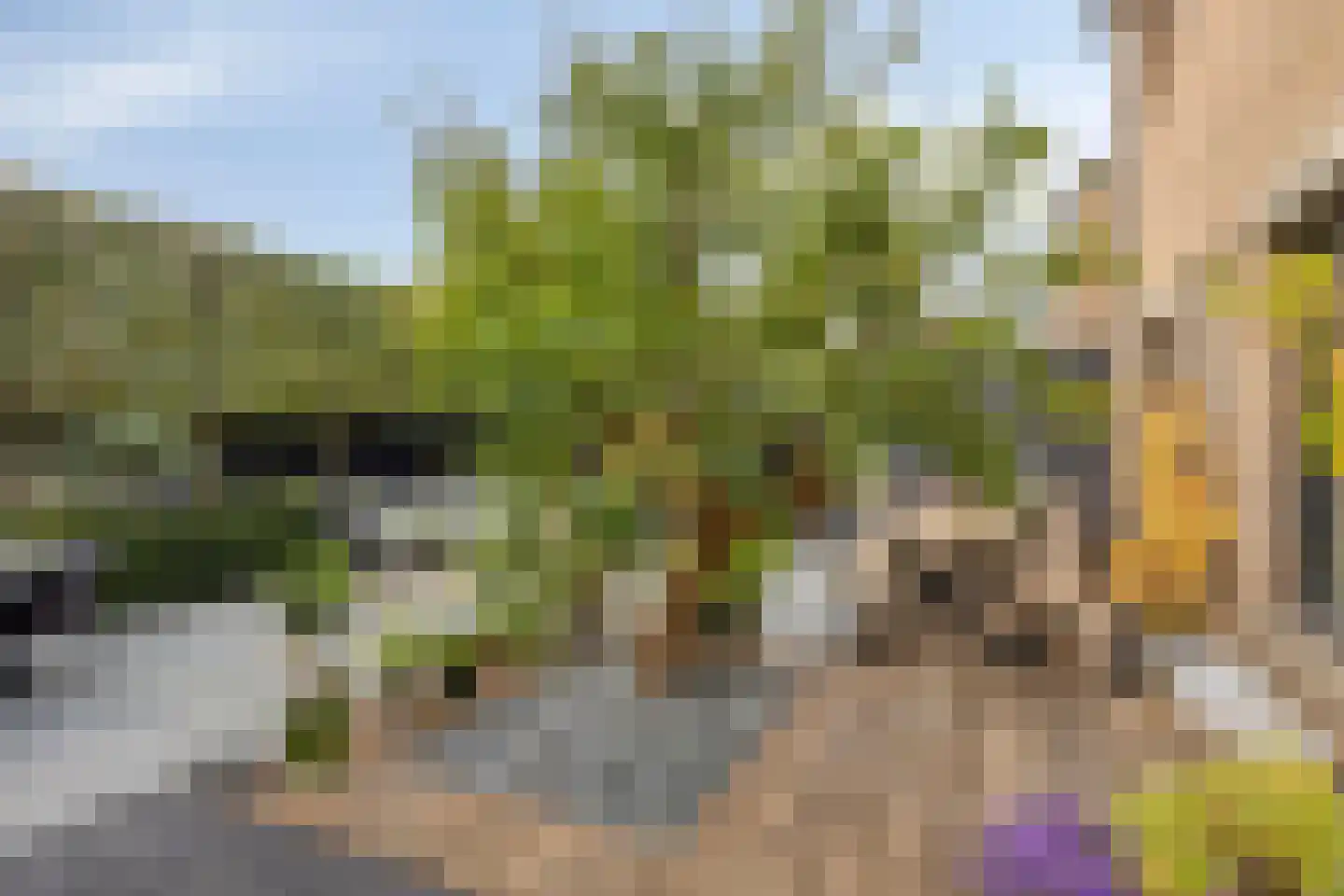 Plantsoen 13 Heesch thumbnail 38