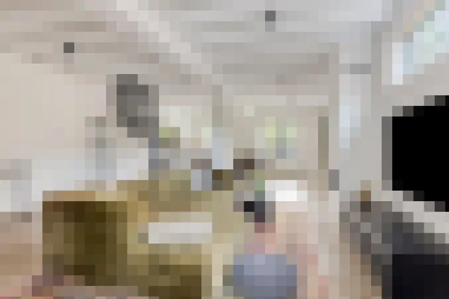 Plantsoen 13 Heesch thumbnail 4