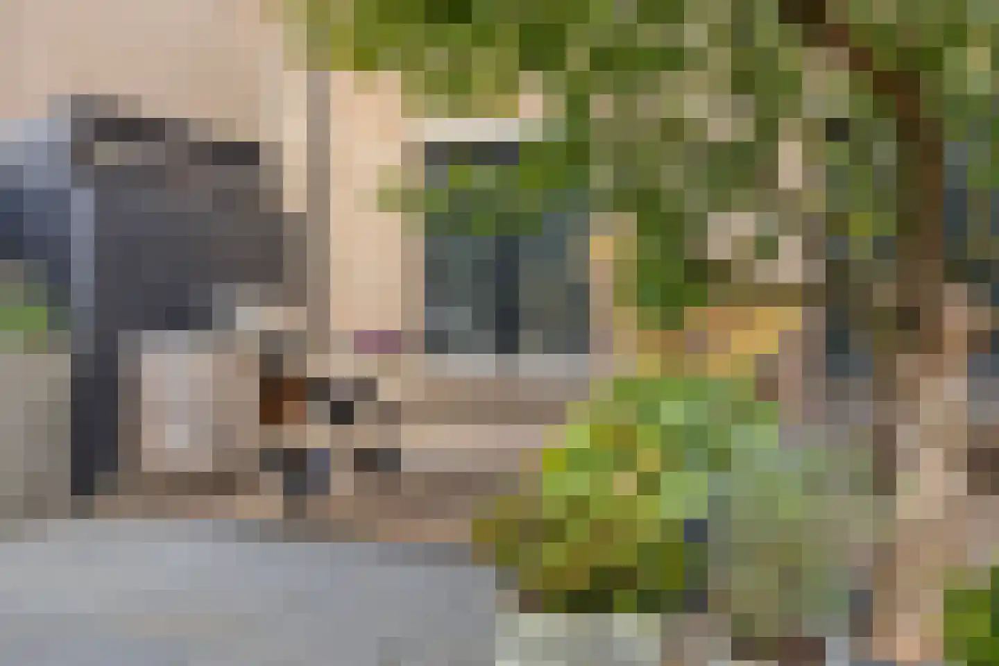 Plantsoen 13 Heesch thumbnail 41