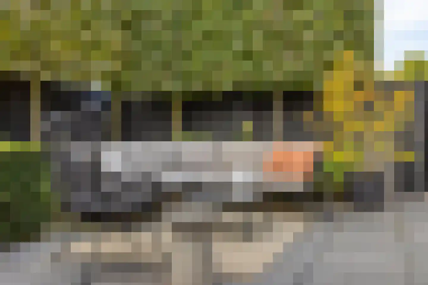 Plantsoen 13 Heesch thumbnail 42