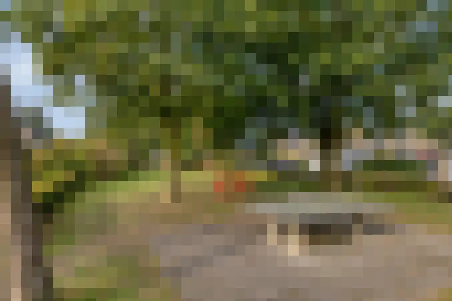 Plantsoen 13 Heesch thumbnail 48