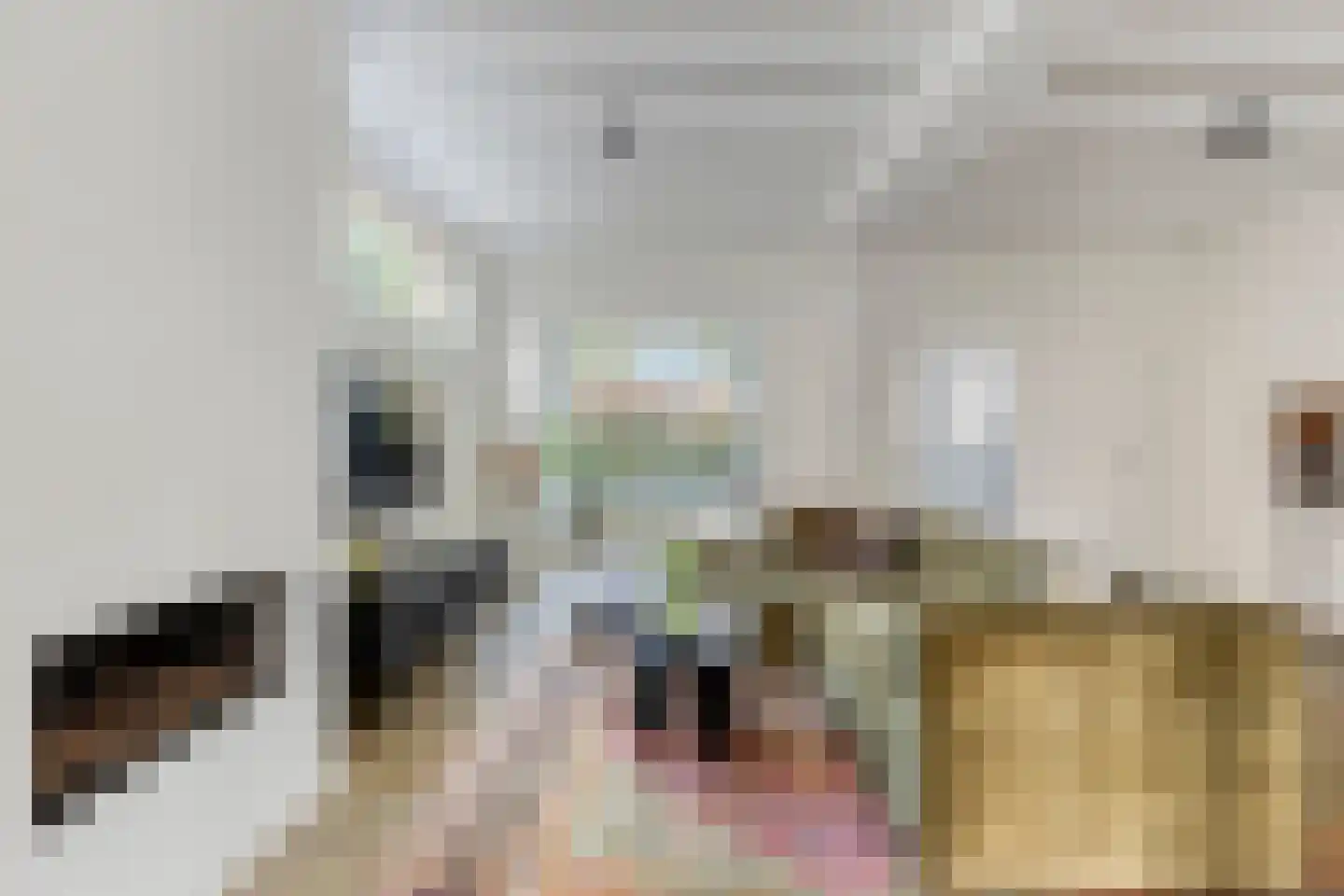 Plantsoen 13 Heesch thumbnail 5