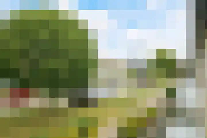 Plantsoen 138 Prinsenbeek thumbnail 39