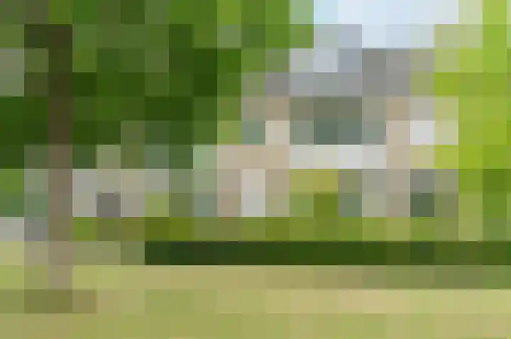 Plantsoen 138 Prinsenbeek thumbnail 49