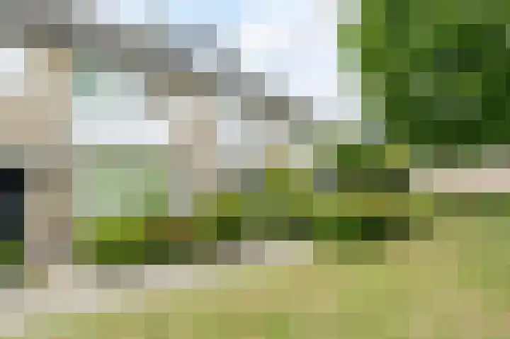 Plantsoen 138 Prinsenbeek thumbnail 50