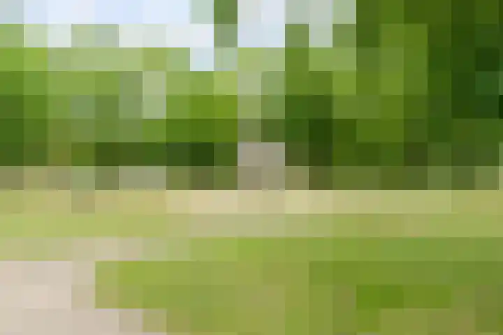 Plantsoen 138 Prinsenbeek thumbnail 54