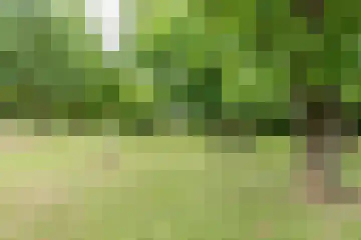 Plantsoen 138 Prinsenbeek thumbnail 55