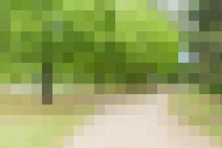 Plantsoen 138 Prinsenbeek thumbnail 56